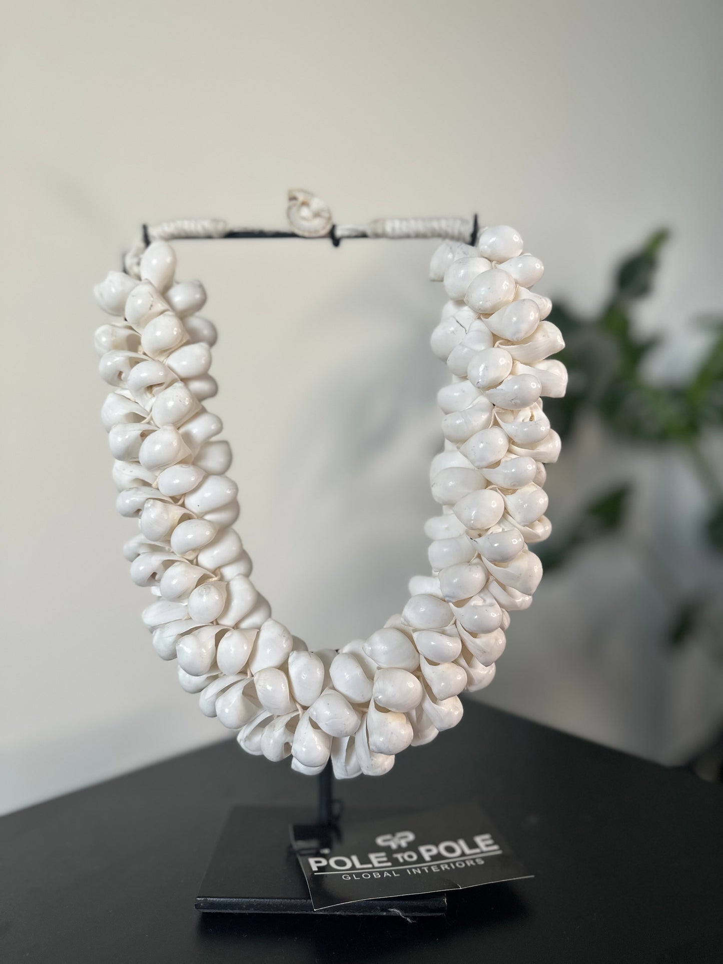 White Shell Necklace