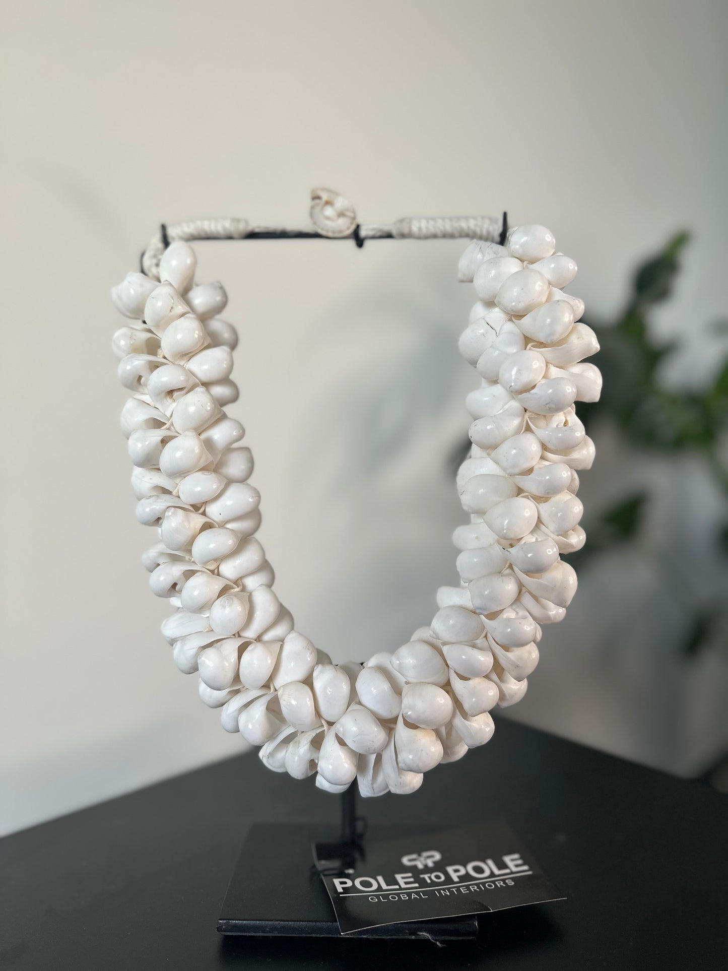 White Shell Necklace
